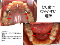 クリックすると拡大します