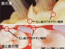 クリックすると大きくなります