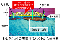 クリックすると大きくなります