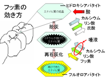 クリックすると大きくなります