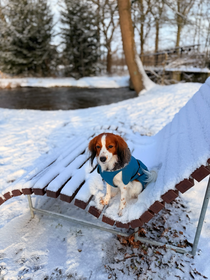 Dem Schnee getrotzt