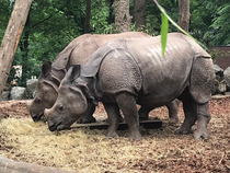 Leuke dingen doen in Blijdorp