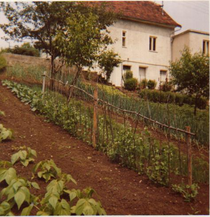 Mein Elternhaus