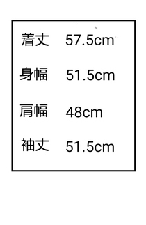 4−MA11