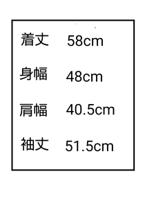 4−MA13