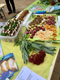 Veganer Infostand