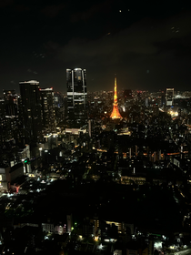東京の夜景です🌃🗼