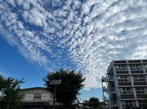 真っ青な空に白い雲の組み合わせってとってもワクワクします🥰