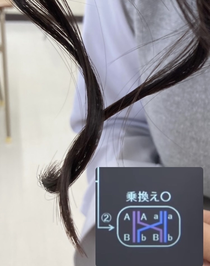 触覚で学ぶ生物