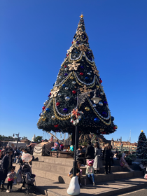 ディズニーに行った時の写真です！もうすぐクリスマスですね🎄