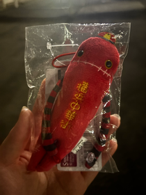 先輩からいただいたモケケ🫶