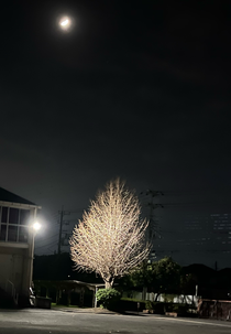 冬の侘しさ感じる風景ですね🍂