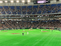 外野からも案外近く見えますね！