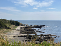 春休みに神奈川の三崎口に行ったときに撮った写真です!