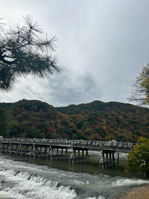 念願の嵐山渡月橋！！！！！