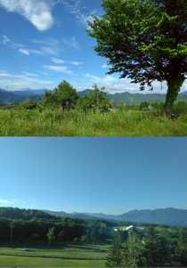 合宿のときに撮影した写真です!空が青く、遠くにある山まで見えて、とても綺麗でした✨🌿