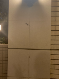 壁に向かって✌️してたら人来て気まずかったです
