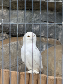 お休みの日に動物園に行きました🫶🏻