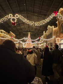 🎄修学旅行の翌日にディズニーランドに行きました🎄