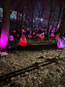 どんぐりの森にて🧸 ᐝ