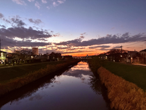 ある日の帰り道で撮った写真です！