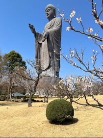 一年前の私は牛久御苑に行っていたようです😲いつみても美しいです✨