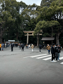 明治神宮🔥🔥🔥