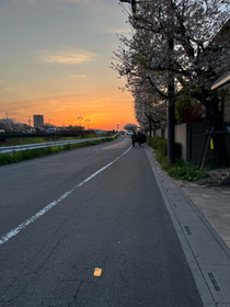 部活帰りに撮ったものです🌅 明るくなってきましたね~(嬉)