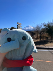 富士山よりぞうさん