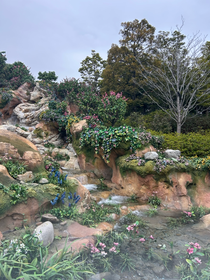 テスト期間にディズニーに行きました！