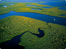 Rio Amazonas aus der Vogelperspektive