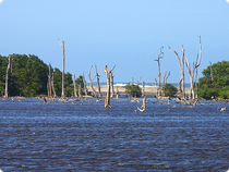 Santa Marta - Promenade - Kolumbien