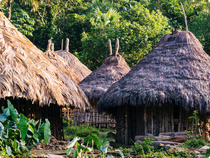 Taironaka - Kolumbien