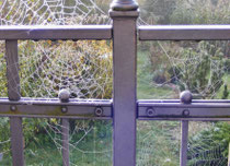 Perlenfäden - Netzkunst im Novembernebel (Christiane Ziller)