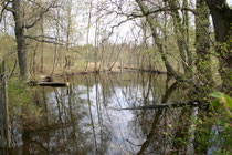 Zühlsdorf, An der Briese (Foto: Günter Maaß)