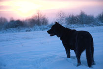 Winterlandschaft