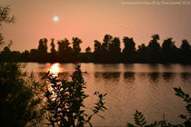 Sonnenuntergang am Mahlbusen