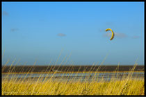 Kitesurfer im Strandgras