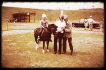 Foto vom Reitstall von Onkel Willy im Jahr 1980 