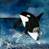 Killer Whale Orca