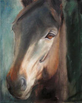 Trakehner Marenko, Öl auf Baumwollgewebe, 40 x 50 cm, 2007