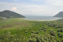 Skadarsee