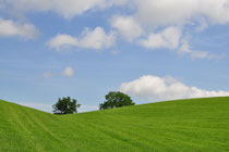 Schleilandschaft