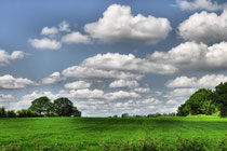 Schleswig-Holsteiner Landschaft