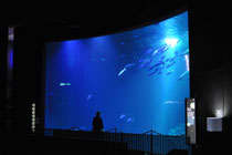 Stralsund, Ozeaneum