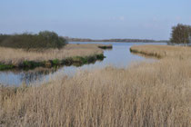Boddenlandschaft