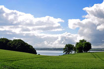 Schlei