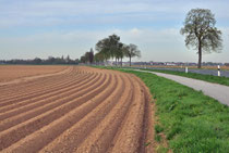 vielspurige Strecke, bei Aldekerk