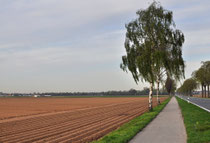 bei Aldekerk