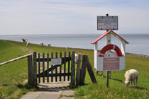 Nordstrand